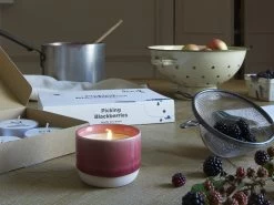 Picking Blackberries Smelly Wax Drops