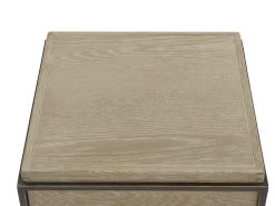 Pippin Side Table -furniture 521479 hide st 02