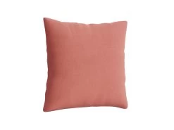 Jumbo (65cm X 65cm) Scatter In Rhubarb Fool Clever Softie